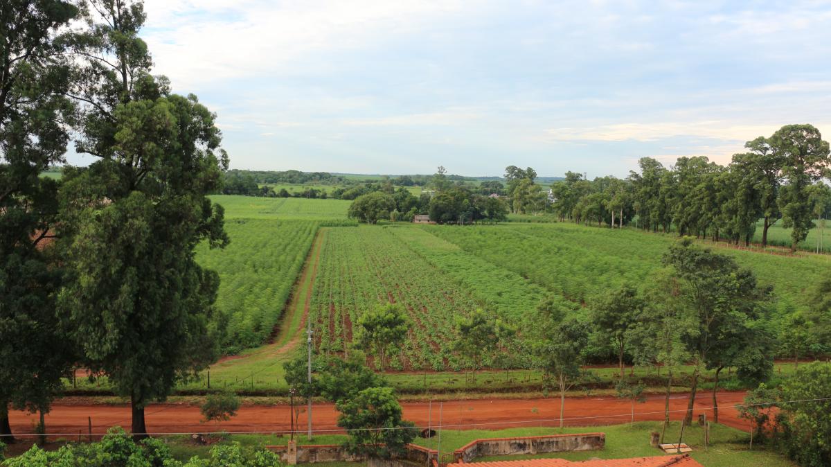 Yguá Farm, in Piribebuy, Paraguay.