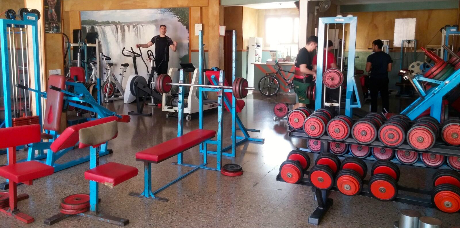 Individualized exercise at Milon Club works in synergy with the healthy eating habits that are promoted in La Botica Natural.
