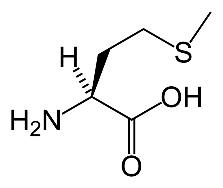 Representación química de la metionina.