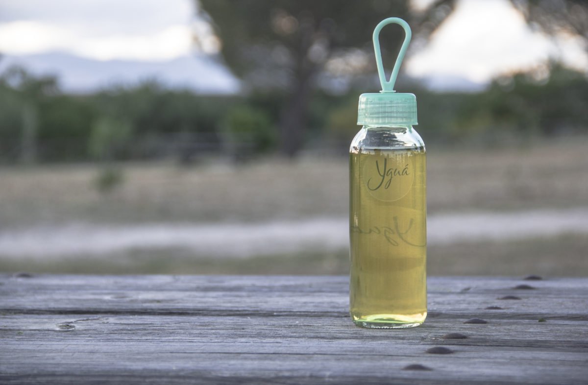 Drinking an Yguá of Moringa is a pleasant way to incorporate into our habits the healthy potential of nature.