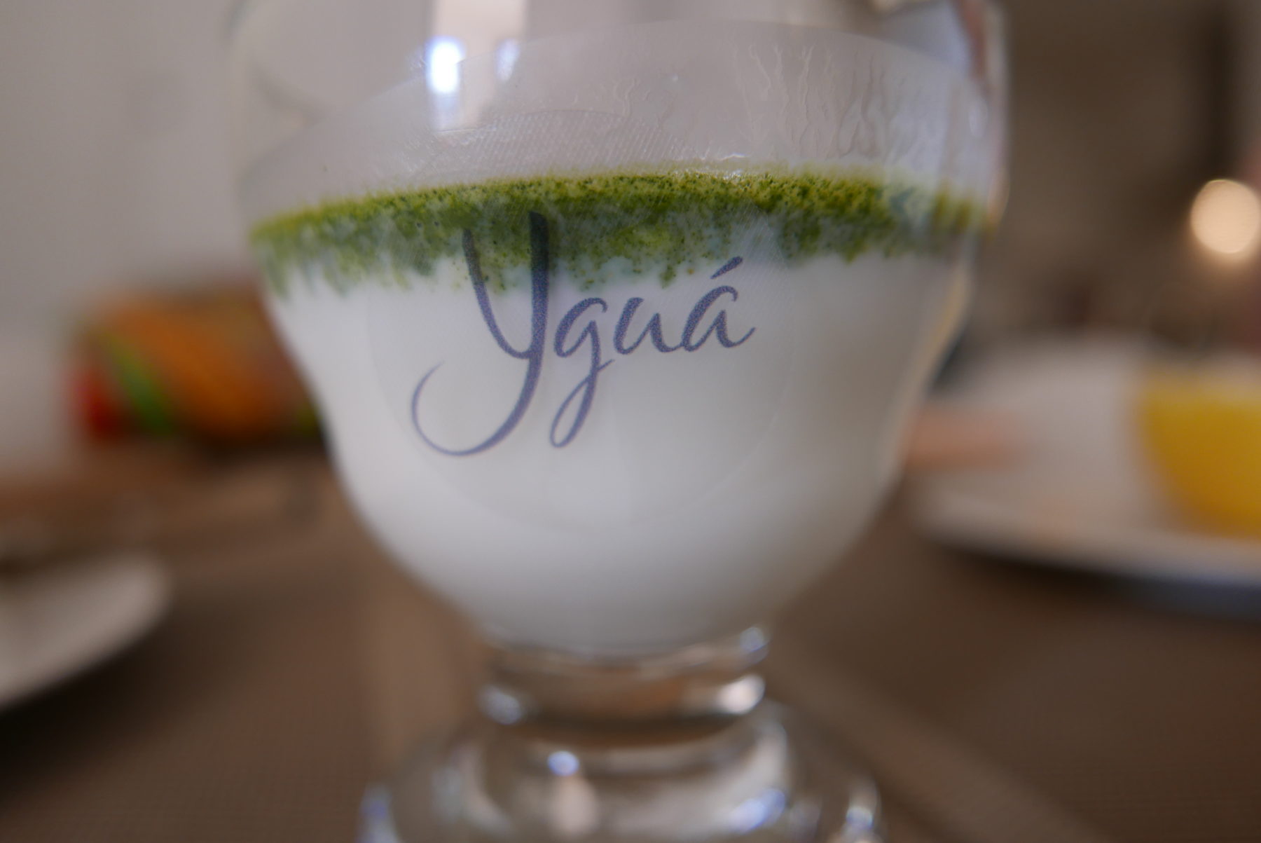 Yogurt con polvo de Moringa Biodinámica.