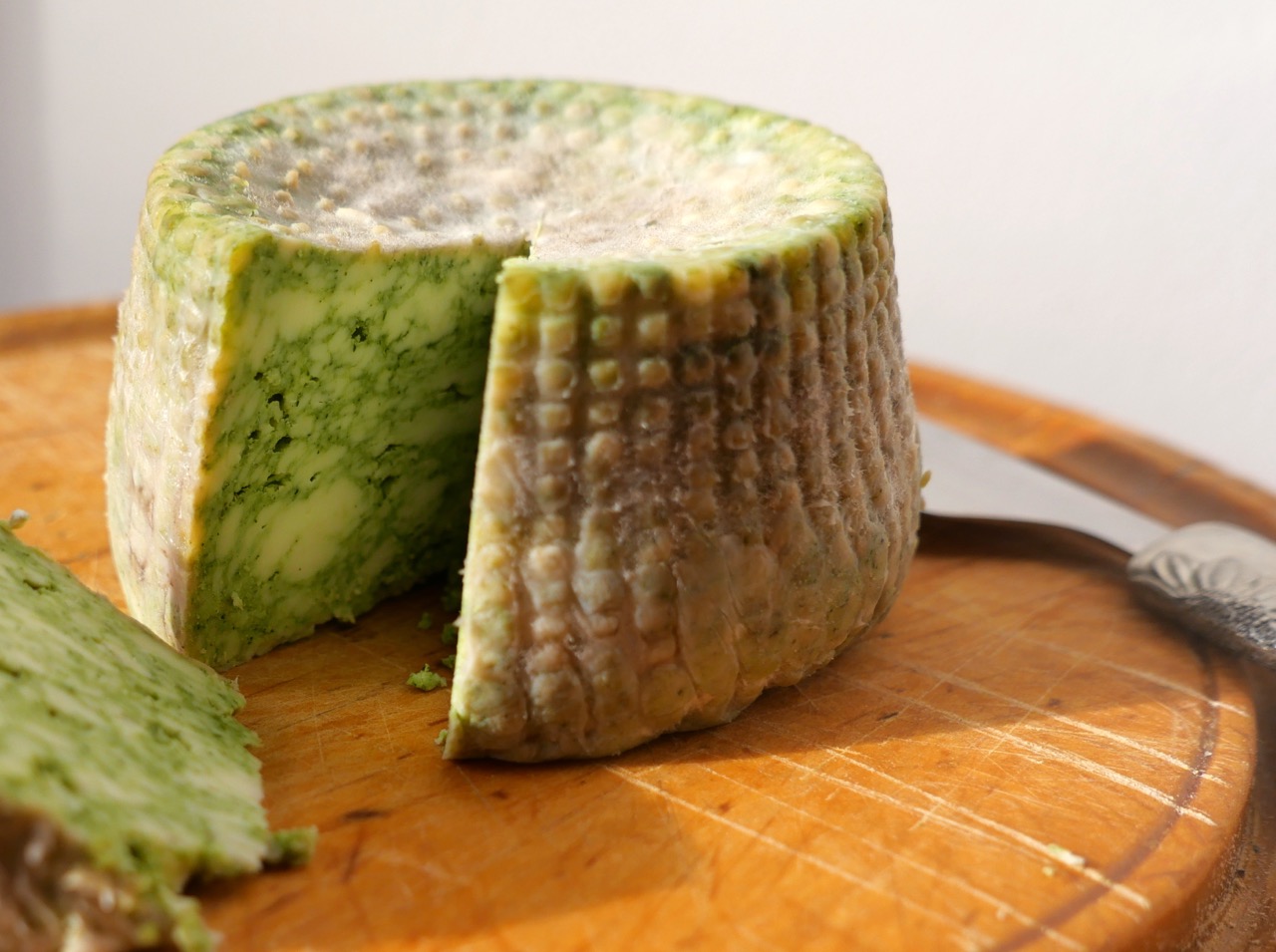 La Moringa ha demostrado funcionar bien en quesos, como éste, de leche cabra, presentado al Reto Moringa por la Quesería Artesanal Torres de Albarracín.