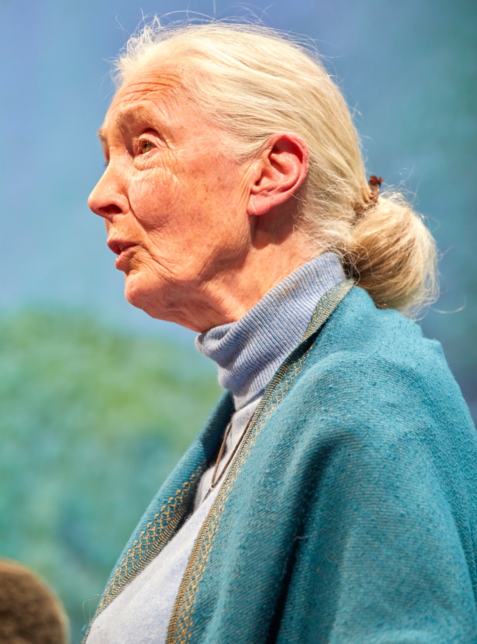 La doctora Jane Goodall es una auténtica institución en respeto al medio ambiente. 