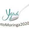 Reto Moringa 2020