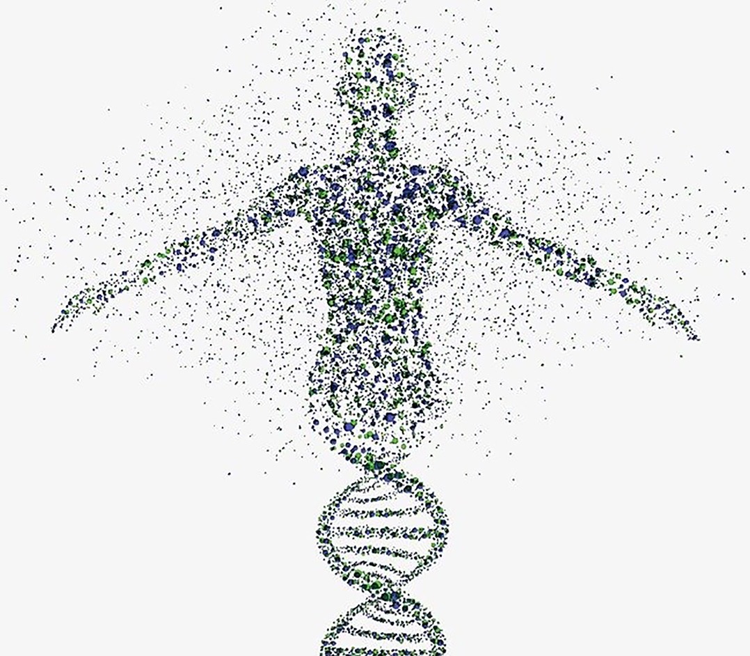 Cuatro letras en nuestro ADN nos "escriben" como humanos. 