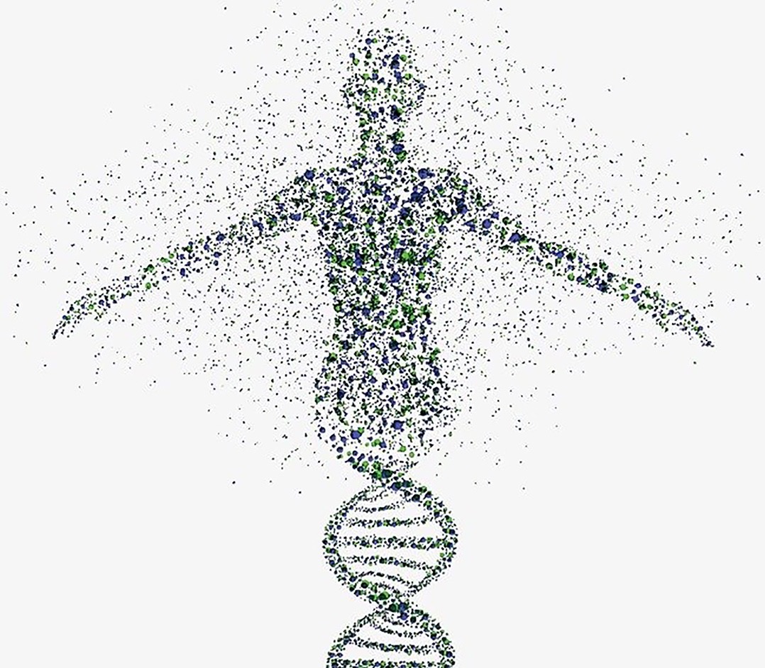 Cuatro letras en nuestro ADN nos "escriben" como humanos. 